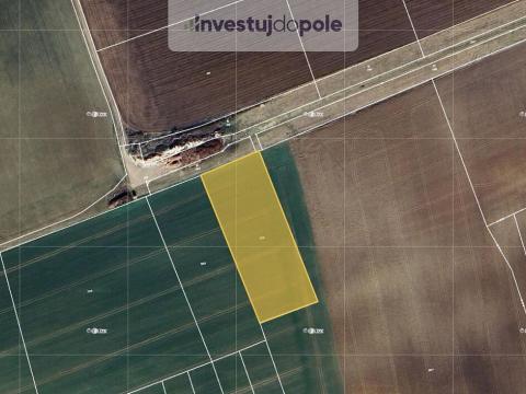 Prodej pole, Smidary - Křičov, 5770 m2