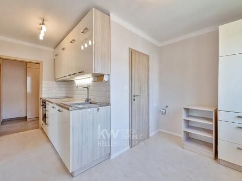 Pronájem bytu 3+1, Tábor, Brigádníků, 63 m2