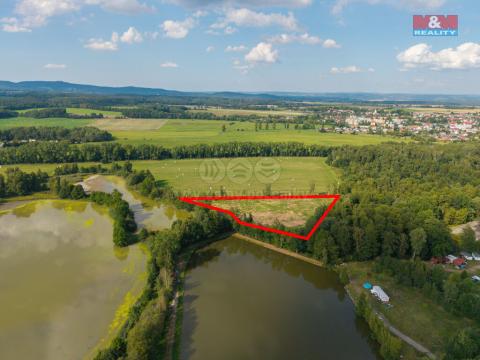 Prodej louky, Františkovy Lázně, 13846 m2