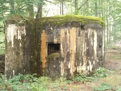 Prodej - jiné, Dubá, 22 m2
