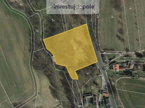 Prodej pozemku, Pravonín - Karhule, 6515 m2