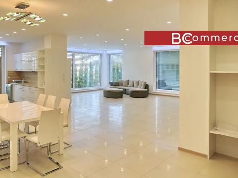 Pronájem rodinného domu, Brno, Pod Borovníkem, 330 m2