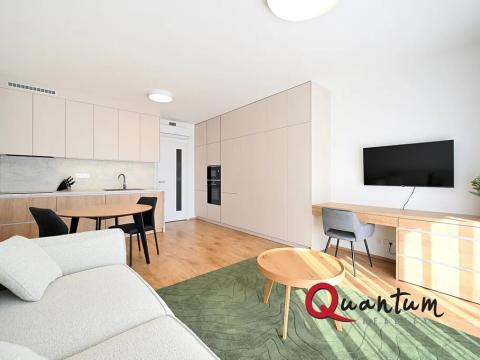 Pronájem bytu 1+kk, Praha - Žižkov, Malešická, 35 m2