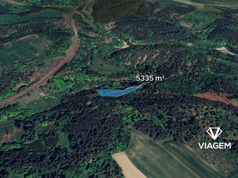 Prodej podílu lesa, Kuřimská Nová Ves, 1778 m2
