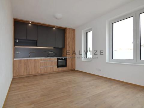 Pronájem bytu 2+kk, České Budějovice, Riegrova, 40 m2