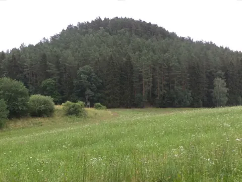 Dražba pole, Tuhaň, 19964 m2