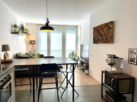 Pronájem bytu 2+kk, Praha - Žižkov, Olgy Havlové, 52 m2