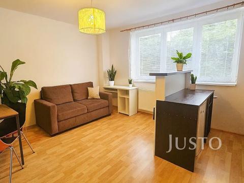 Pronájem bytu 1+kk, Písek, Přemyslova, 27 m2