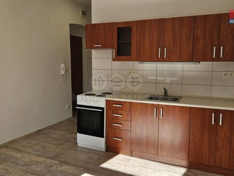 Pronájem bytu 1+kk, Plzeň - Východní Předměstí, Úslavská, 20 m2