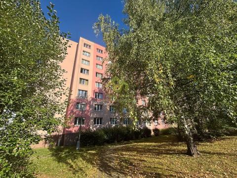Prodej bytu 1+1, Plzeň, Karla Steinera, 35 m2