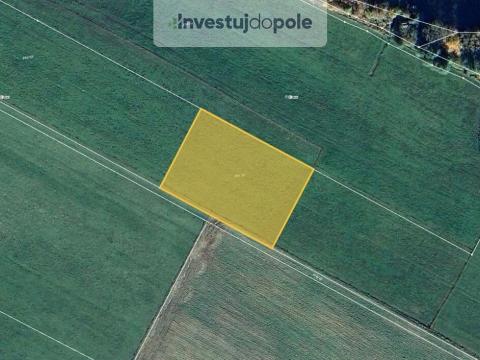 Prodej pole, Nové Hrady - Štiptoň, 5541 m2