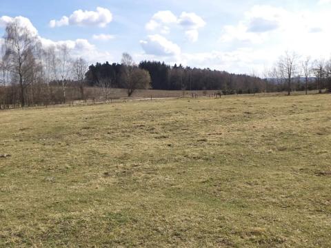 Dražba pozemku pro bydlení, Kamenná, 1200 m2
