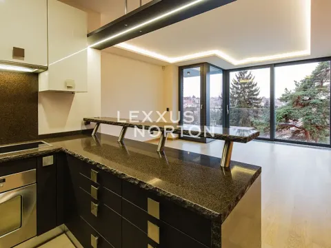 Pronájem bytu 2+kk, Praha - Podolí, Jeremenkova, 60 m2