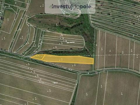 Prodej pole, Dolní Věstonice, 747 m2