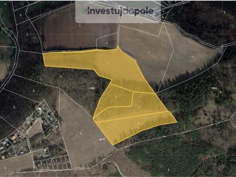 Prodej louky, Bojanovice - Malá Lečice, 56080 m2