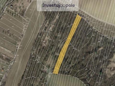 Prodej lesa, Bučovice - Vícemilice, 3433 m2