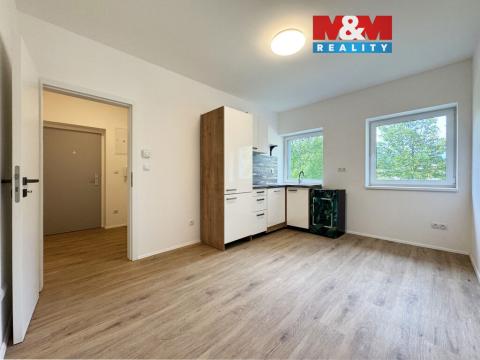 Prodej bytu 1+kk, Ostrov, Sukova, 23 m2