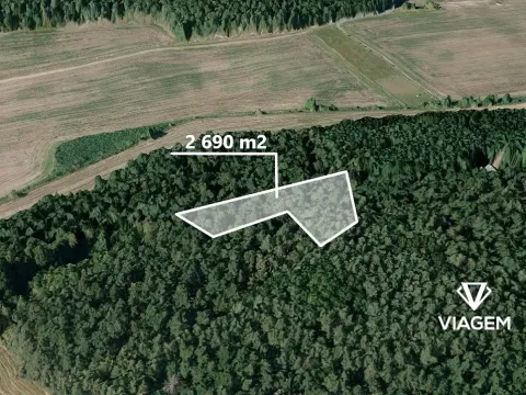 Prodej podílu lesa, Hrdlív, 807 m2