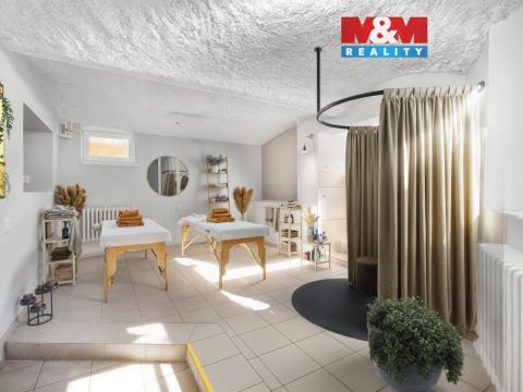Prodej obchodního prostoru, Liberec - Liberec IV-Perštýn, Na Perštýně, 53 m2