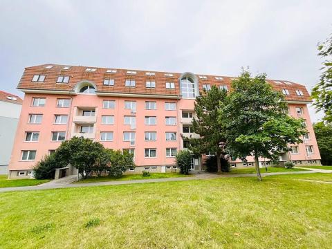 Pronájem bytu 4+kk, Brno, Pavlovská, 99 m2