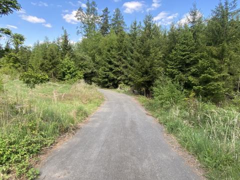Prodej lesa, Kladruby, 698 m2