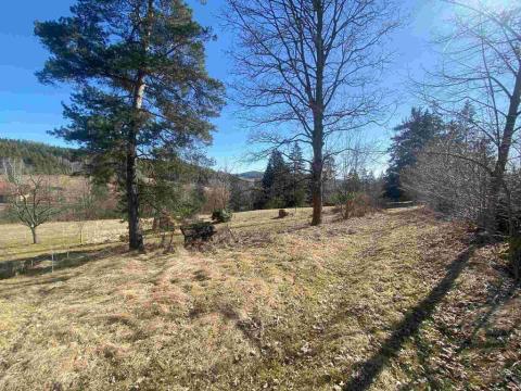 Prodej pozemku, Čkyně - Horosedly, 326 m2