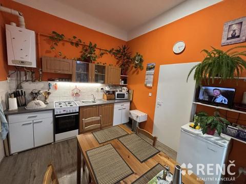 Pronájem bytu 1+1, Brno, Kounicova, 47 m2