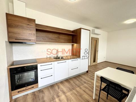 Pronájem bytu 1+kk, Hustopeče, Alejní, 30 m2