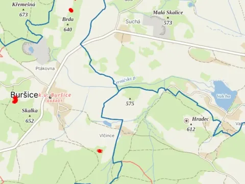 Prodej lesa, Kolinec, 5322 m2