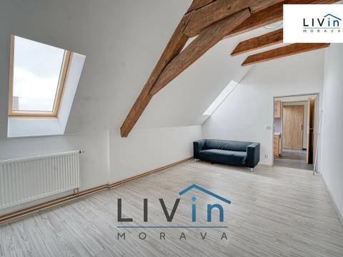 Pronájem bytu 1+1, Olomouc, Zámečnická, 30 m2