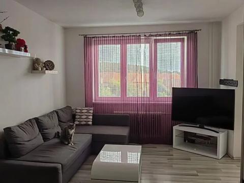 Pronájem bytu 1+kk, Stráž, 42 m2
