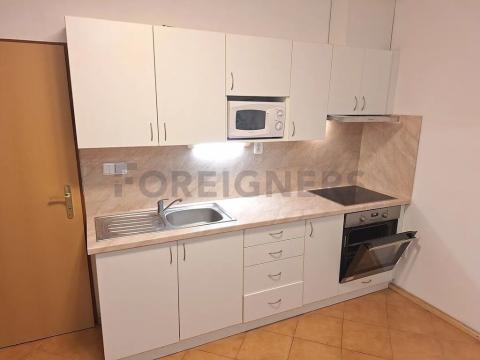 Pronájem bytu 1+kk, Olomouc, Panská, 25 m2