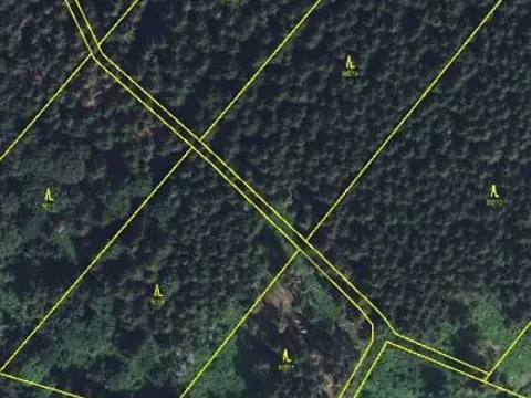 Prodej podílu lesa, Štíty, 11465 m2