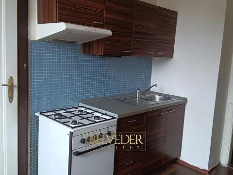 Pronájem bytu 2+1, Teplice, Americká, 70 m2