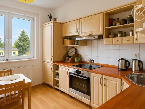 Pronájem bytu 2+1, Uherské Hradiště, J. E. Purkyně, 60 m2