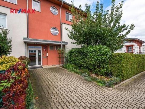 Pronájem bytu 1+kk, Praha - Čimice, Zaječická, 30 m2