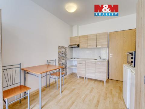Pronájem bytu 1+1, Plzeň, Nepomucká, 23 m2