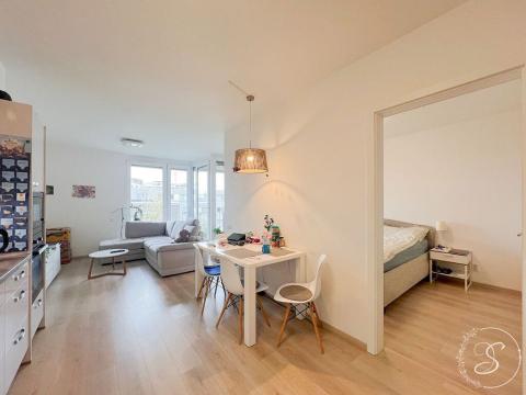 Pronájem bytu 2+kk, Praha - Žižkov, Na Vackově, 54 m2