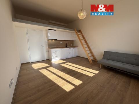 Pronájem bytu 1+kk, Plzeň - Jižní Předměstí, Čelakovského, 33 m2