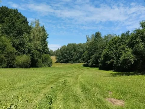 Prodej louky, Babice, 45608 m2