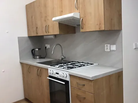 Pronájem bytu 1+kk, Prostějov, Vápenice, 49 m2
