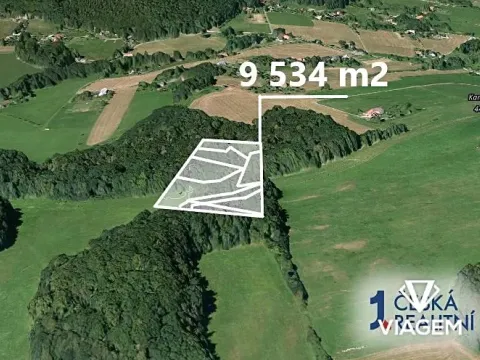 Prodej podílu lesa, Tichá, 6435 m2