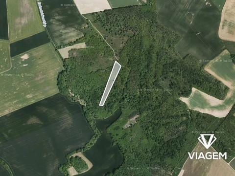 Prodej podílu lesa, Rybníky, 2317 m2