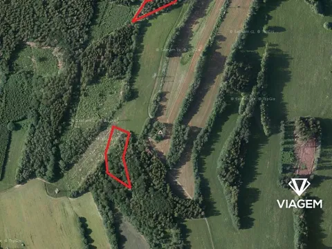 Prodej podílu lesa, Roztoky u Semil, 6000 m2