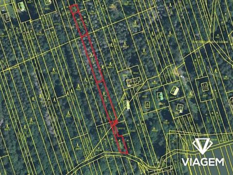 Prodej lesa, Kněždub, 1444 m2