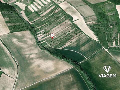 Prodej podílu zahrady, Archlebov, 890 m2