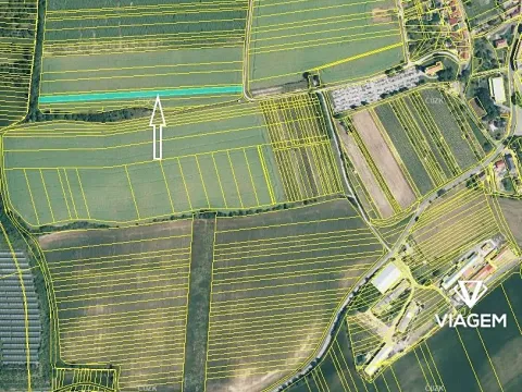 Prodej podílu pole, Kostelec, 600 m2
