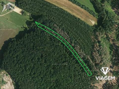 Prodej podílu lesa, Boskovice, 1508 m2