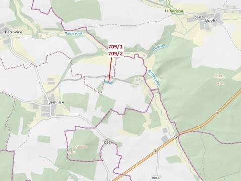 Dražba lesa, Osek, 1823 m2