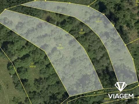 Prodej pole, Obora, 7758 m2